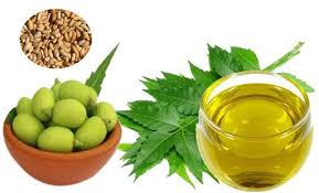 Neem Oil Market'