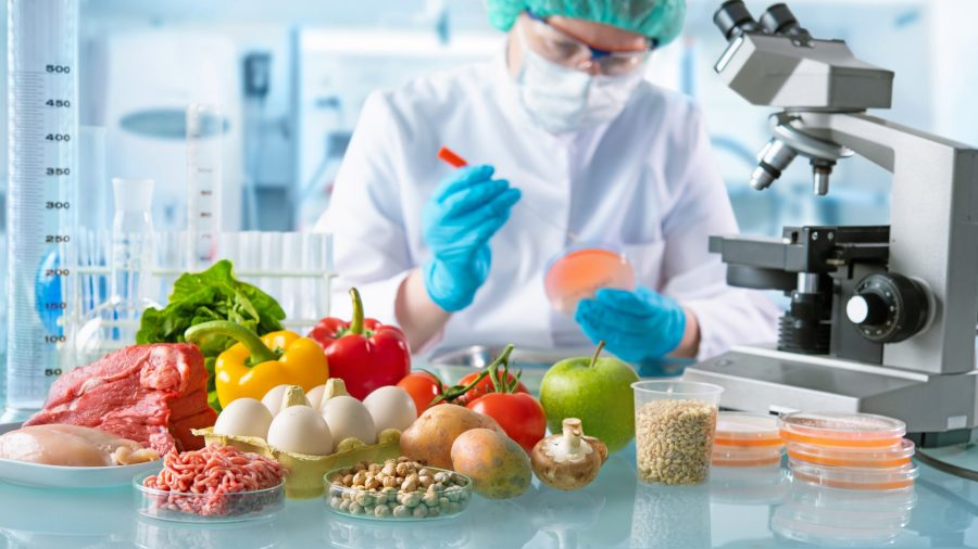 Food Safety Testing Market'