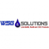 WSG & Solutions Inc.