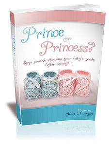 prince or princess book'