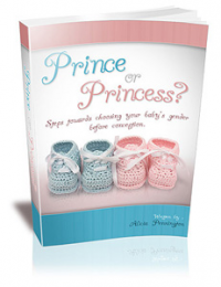 prince or princess book