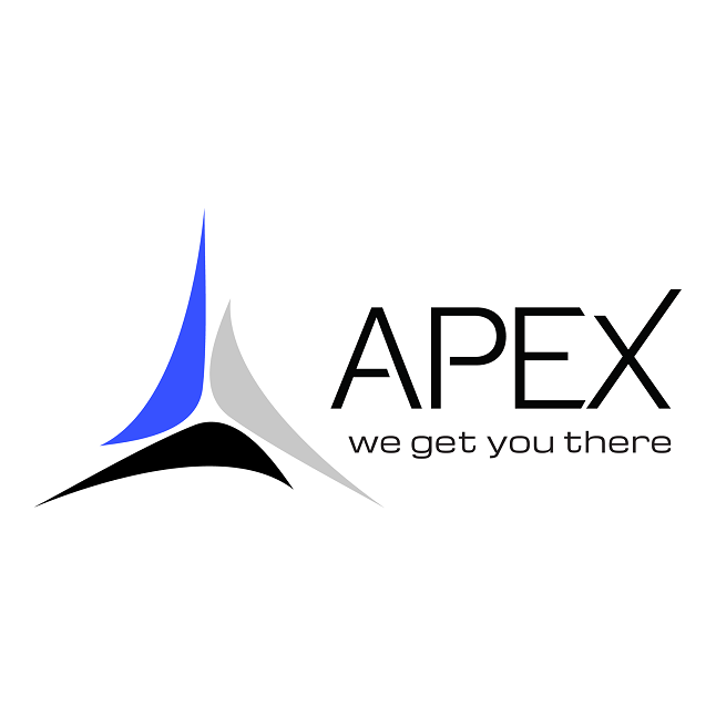 Company Logo For APEX INFOTECH INDIA PVT. LTD.'
