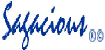Sagacious Softwares