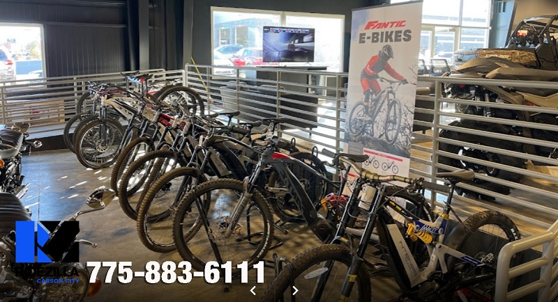 Company Logo For Ridezilla Carson City'