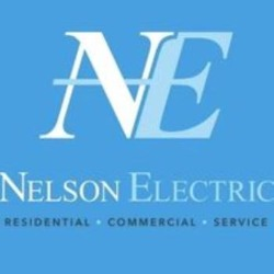 Company Logo For Nelson Electric, LLC'