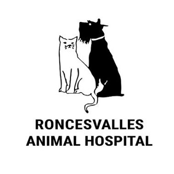 Roncesvalles Animal Hospital