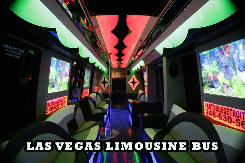Party Bus'