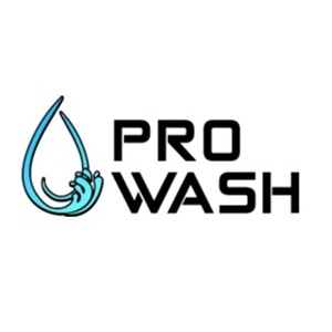 Company Logo For Pro Wash'