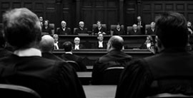 criminal solicitors in maddington'