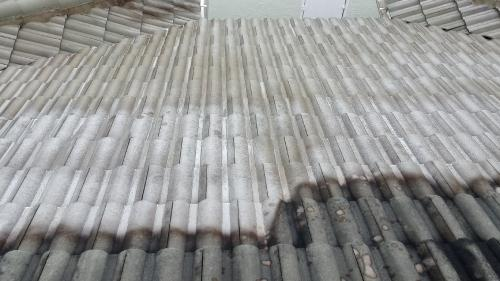 Company Logo For Pressure Syndicate & Soft Wash'