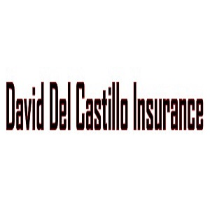 David Del Castillo Insurance Logo