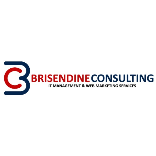 Company Logo For Brisendine Consulting'