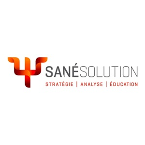 Company Logo For SAN&Eacute; Solution'