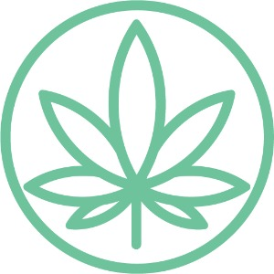 Company Logo For Cannabis Doc - Zephyrhills Medical Marijuan'