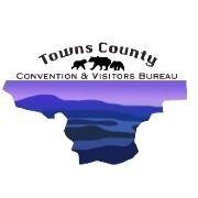 Towns County Logo