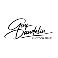 Daudelin Photo Logo