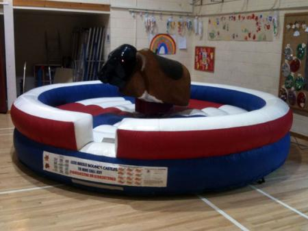 Rodeo Bull Hire UK