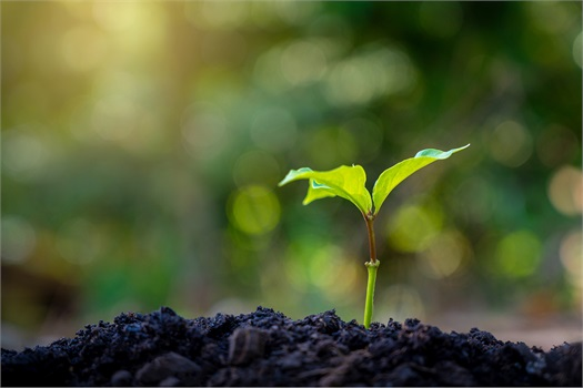 Company Logo For Wiser Financial Coaching'