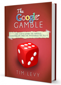 The Google Gamble by Tim Levy