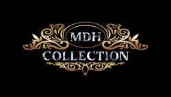 Company Logo For The MDH Collection'