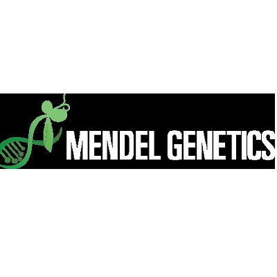 Mendel Genetics