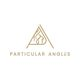 Company Logo For Particular Angles'