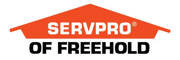 Company Logo For SERVPRO of Freehold'