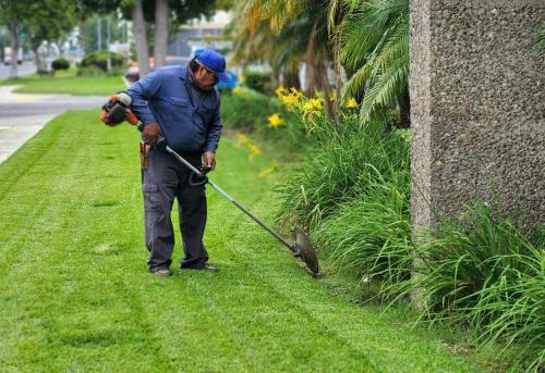 Company Logo For Pacific Green Landscape Maintenance'