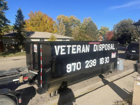 Company Logo For Veteran Disposal Dumpster Rentals'