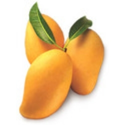 African Mango Plus'