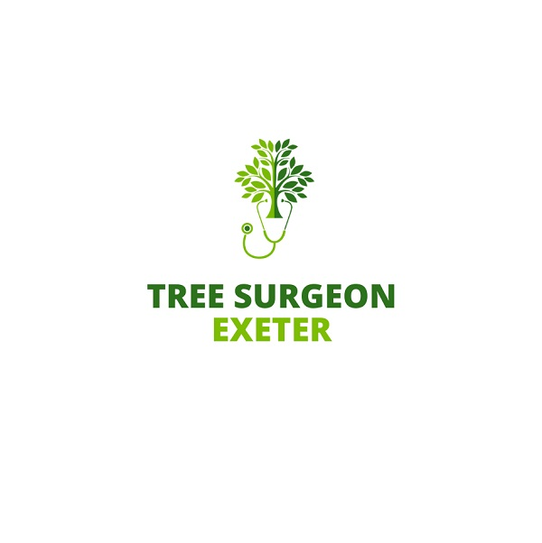 Company Logo For Tree Surgeon Exeter'