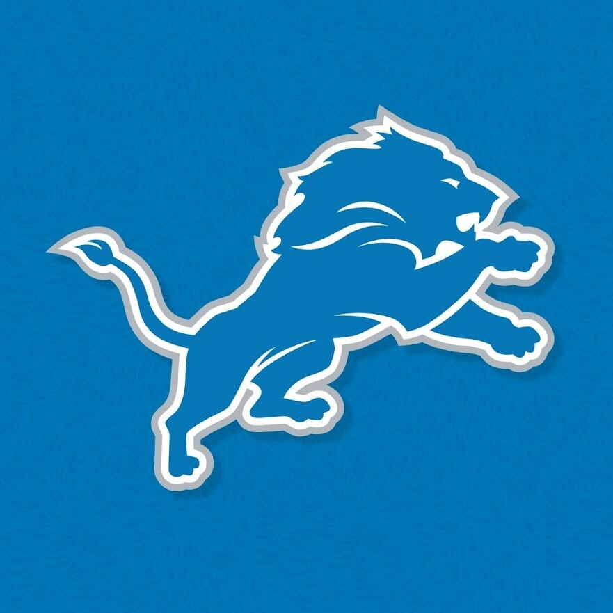 Company Logo For Detroit Lions Merch'