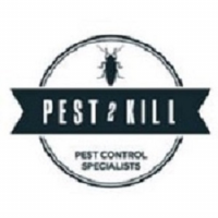 Pest2Kill Logo