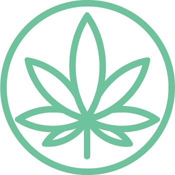 Cannabis Doc - South Tampa Medical Marijuana Doctors & Marijuana Cards Logo