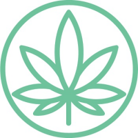 Cannabis Doc - South Tampa Medical Marijuana Doctors & Marijuana Cards Logo