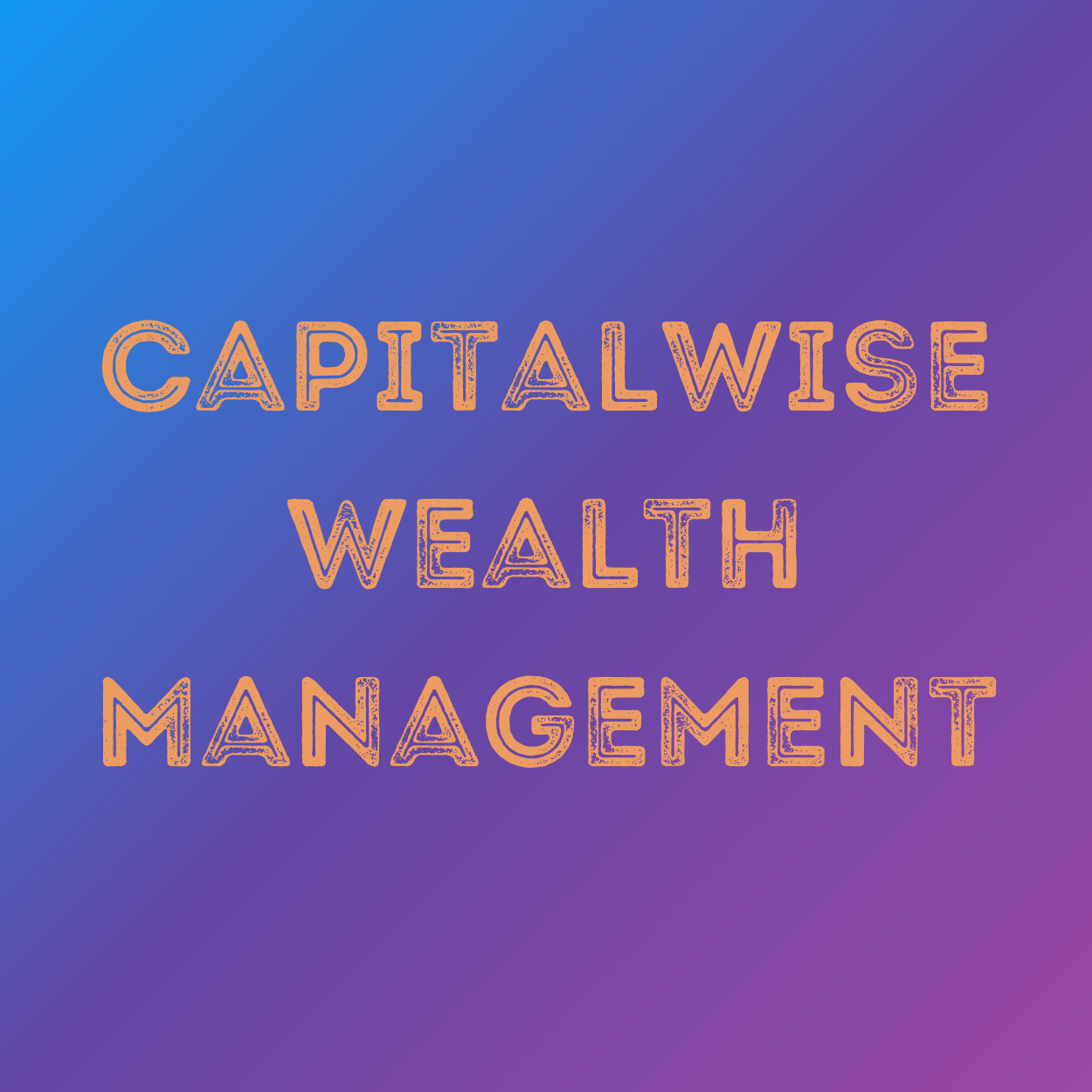 Capitalwise Wealth Management Logo