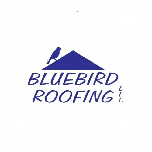 Company Logo For Blue Bird Roofing'