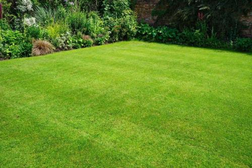 Emerald Lawn Care'