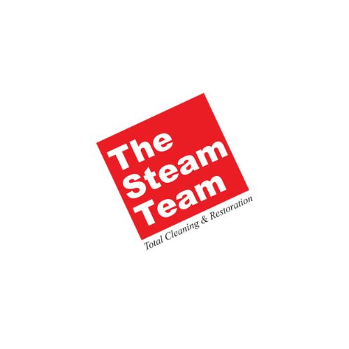 Company Logo For The Steam Team'