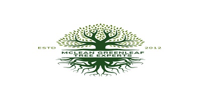 Company Logo For Mclean GreenLeaf Tree Experts'