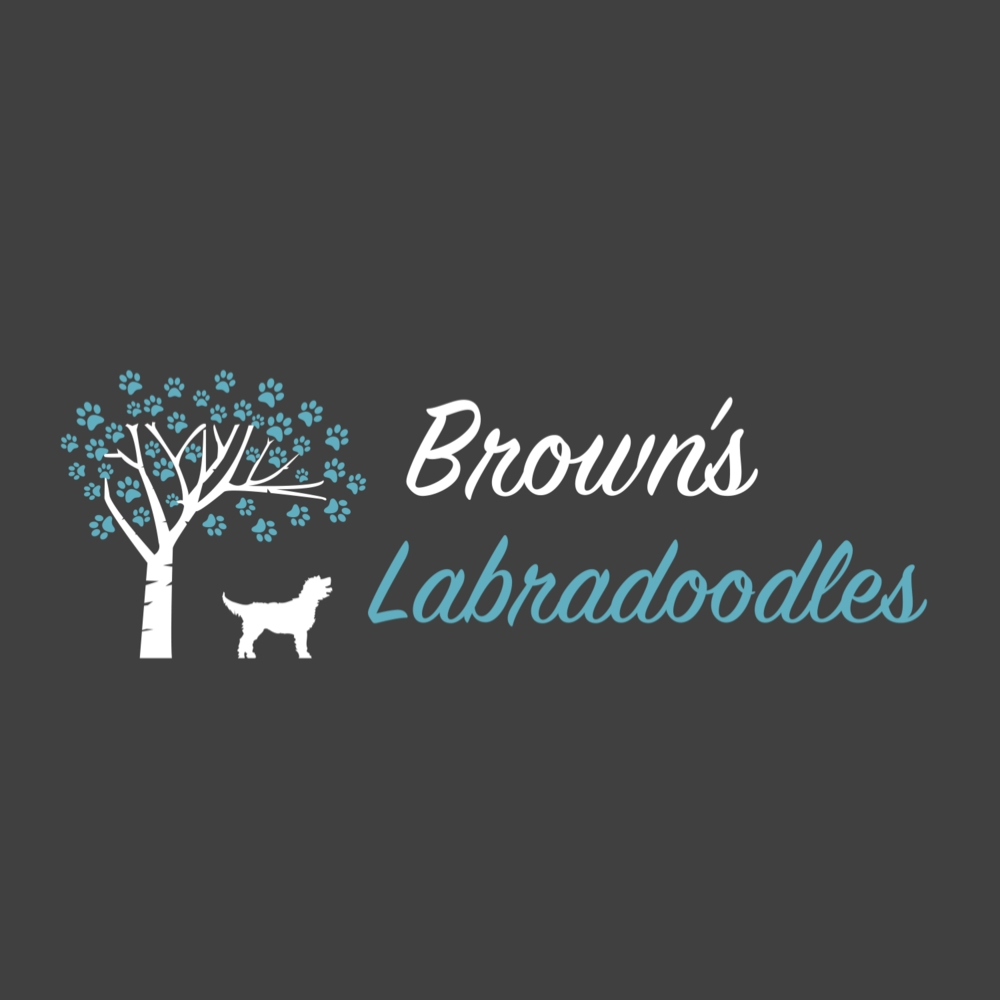 Company Logo For Brown's Labradoodles'