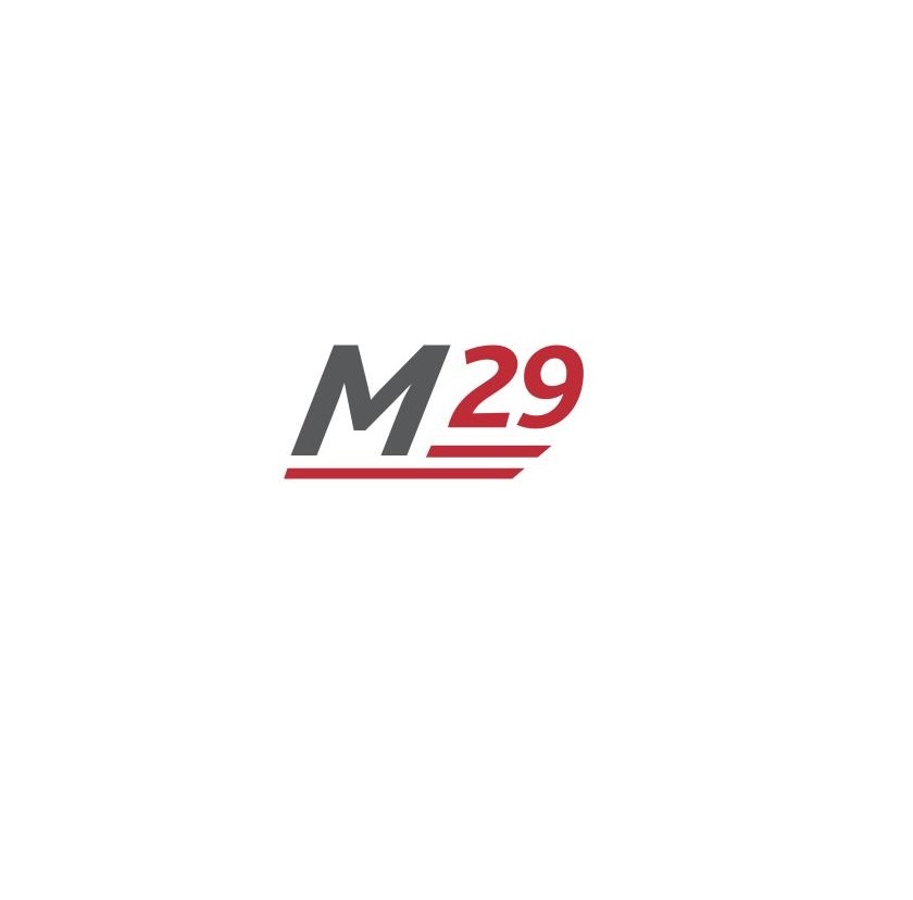 Motion29 Limited Logo