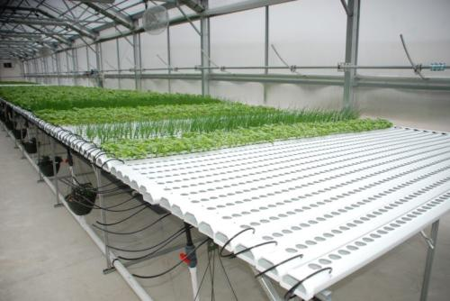 Company Logo For Rimol Greenhouse Systems'