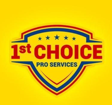 Company Logo For 1st Choice Pro Services'