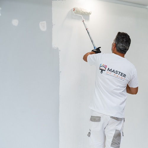 Company Logo For Master of Paint'