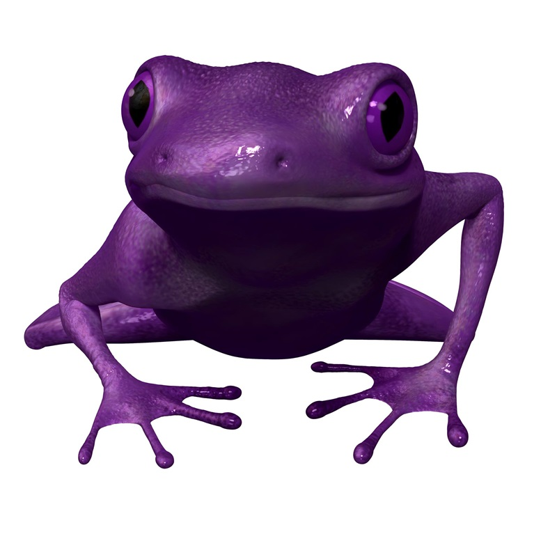 Company Logo For Violet Frog Environmental'