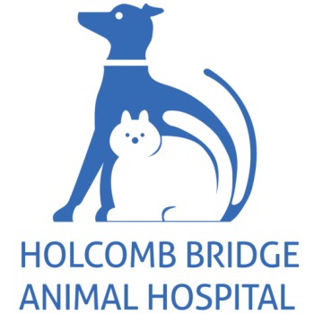 Company Logo For Holcomb Bridge Animal Hospital'