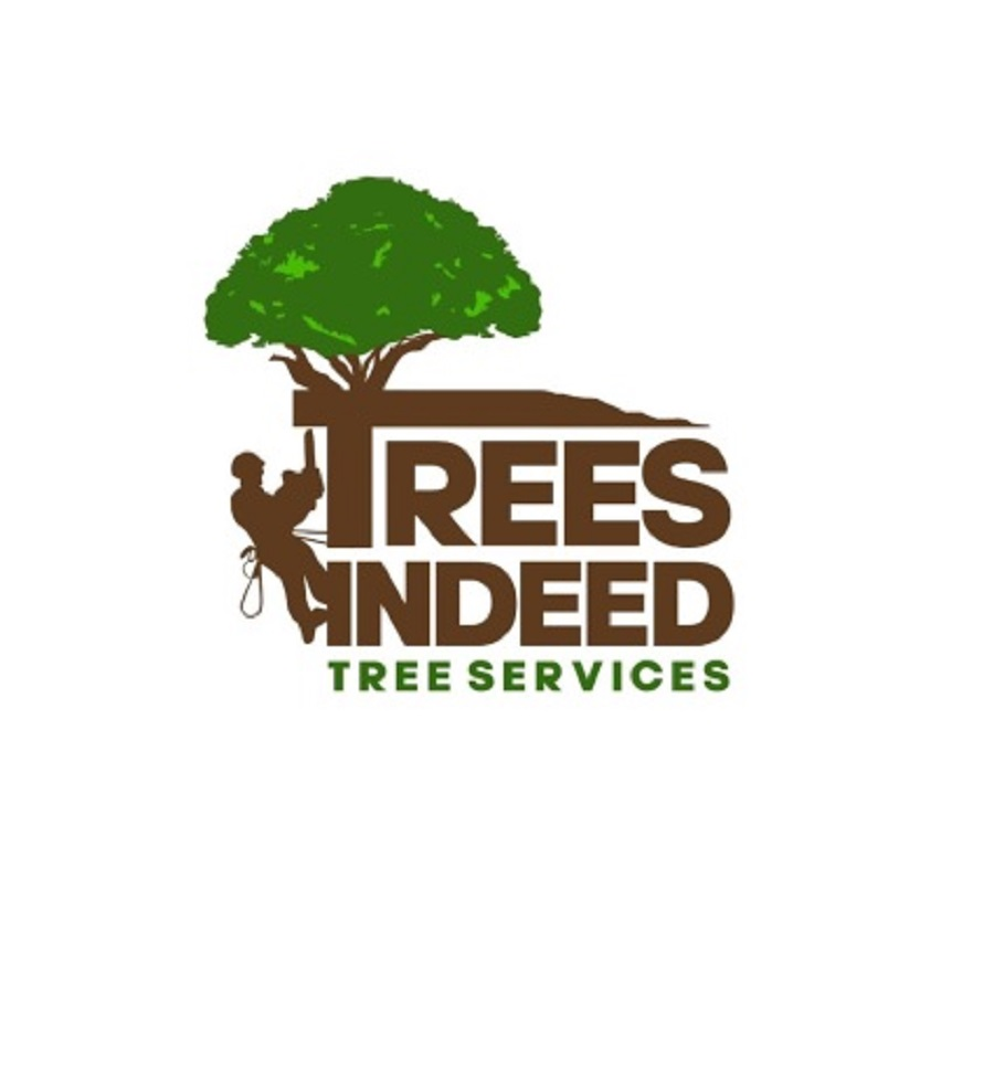 Company Logo For Trees Indeed'