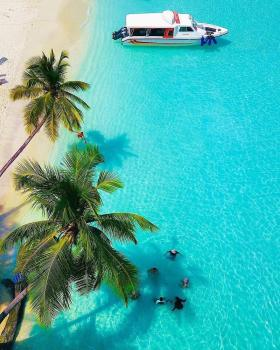 Company Logo For Light Travels Inc'