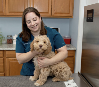 Company Logo For Companion Pet Hospital'